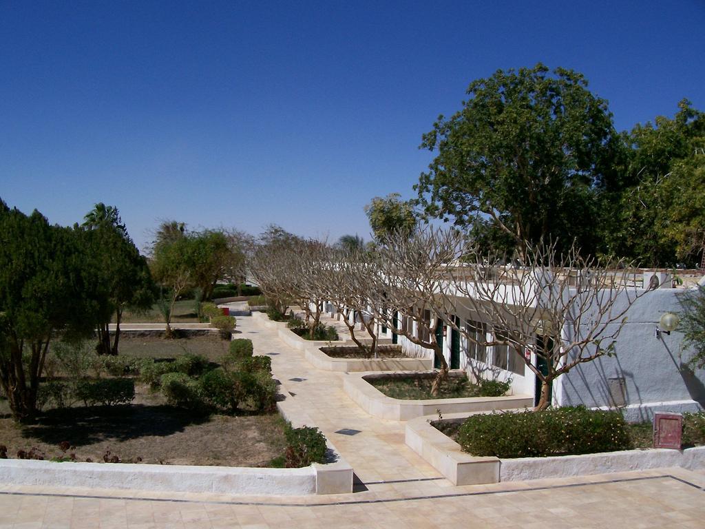 Nefertari Hotel Abu Simble Абу-Симбел Экстерьер фото