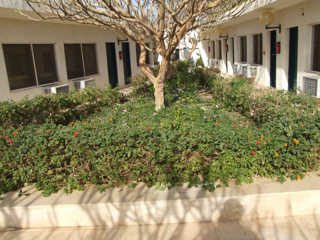 Nefertari Hotel Abu Simble Абу-Симбел Экстерьер фото
